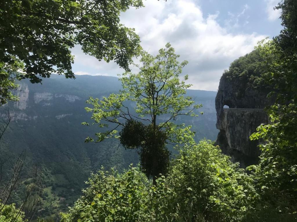 Maison De Vacances Avec Ses Petits Chalets Aouste-sur-Sye Zewnętrze zdjęcie